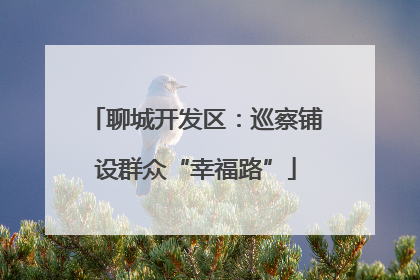 聊城开发区：巡察铺设群众“幸福路”