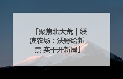 聚焦北大荒｜绥滨农场：沃野绘新景 实干开新局