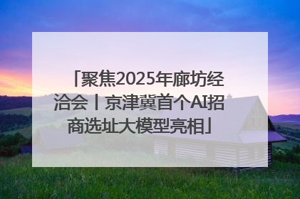 聚焦2025年廊坊经洽会丨京津冀首个AI招商选址大模型亮相
