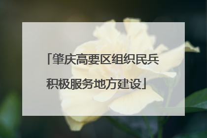 肇庆高要区组织民兵积极服务地方建设