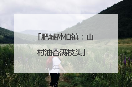 肥城孙伯镇：山村油杏满枝头