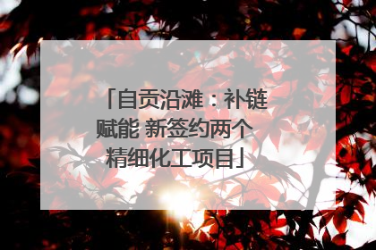 自贡沿滩：补链赋能 新签约两个精细化工项目