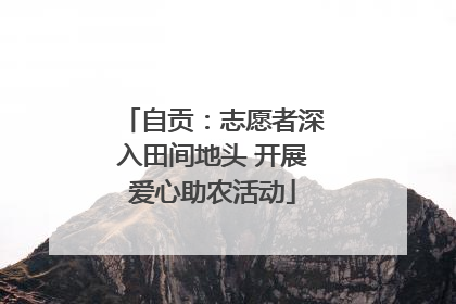 自贡：志愿者深入田间地头 开展爱心助农活动
