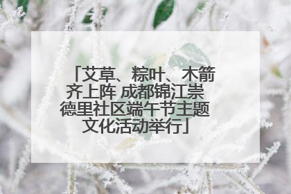 艾草、粽叶、木箭齐上阵 成都锦江崇德里社区端午节主题文化活动举行