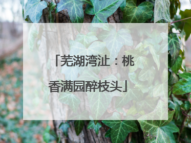 芜湖湾沚：桃香满园醉枝头