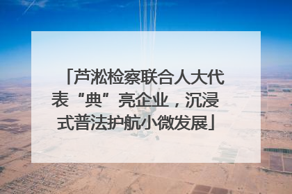 芦淞检察联合人大代表“典”亮企业，沉浸式普法护航小微发展