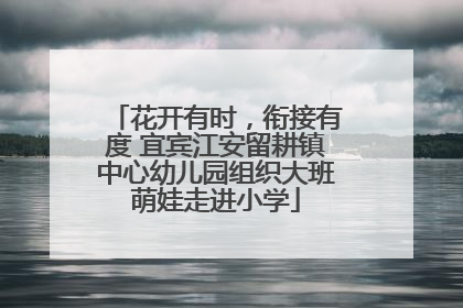 花开有时，衔接有度 宜宾江安留耕镇中心幼儿园组织大班萌娃走进小学