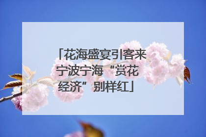 花海盛宴引客来 宁波宁海“赏花经济”别样红