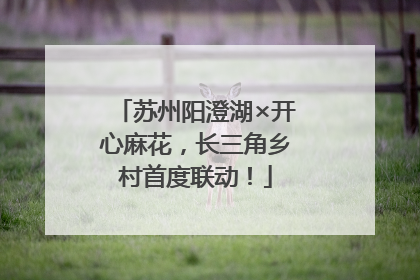 苏州阳澄湖×开心麻花，长三角乡村首度联动！