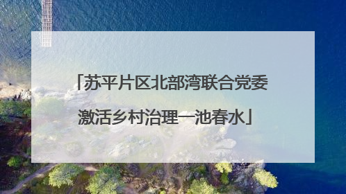 苏平片区北部湾联合党委 激活乡村治理一池春水