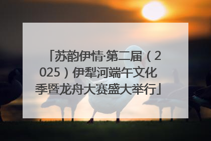 苏韵伊情·第二届（2025）伊犁河端午文化季暨龙舟大赛盛大举行