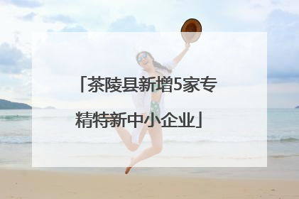 茶陵县新增5家专精特新中小企业