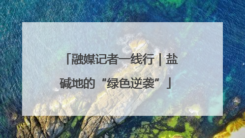 融媒记者一线行｜盐碱地的“绿色逆袭”