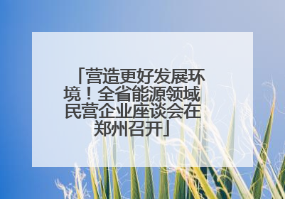 营造更好发展环境！全省能源领域民营企业座谈会在郑州召开