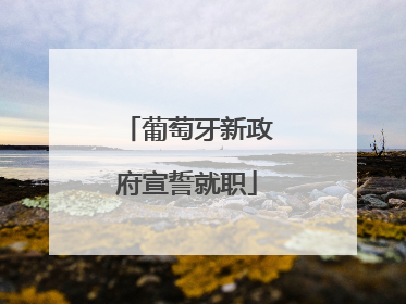 葡萄牙新政府宣誓就职