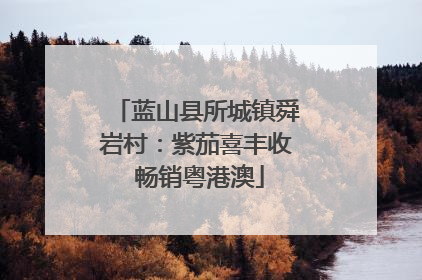 蓝山县所城镇舜岩村：紫茄喜丰收 畅销粤港澳