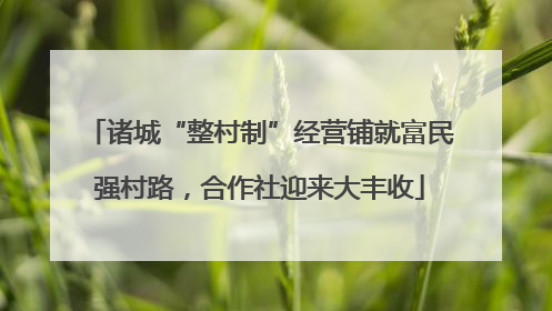 诸城“整村制”经营铺就富民强村路，合作社迎来大丰收