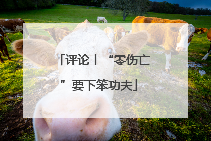 评论丨“零伤亡”要下笨功夫