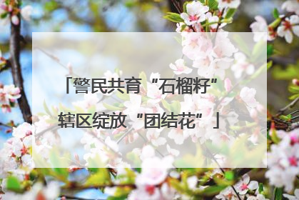 警民共育“石榴籽” 辖区绽放“团结花”