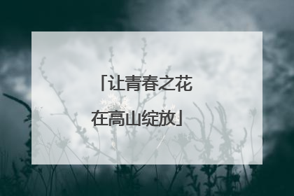 让青春之花在高山绽放