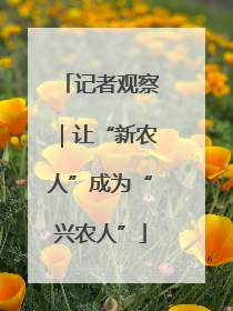 记者观察｜让“新农人”成为“兴农人”