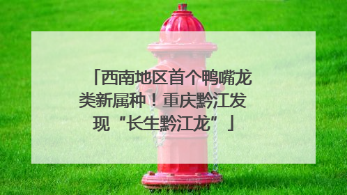 西南地区首个鸭嘴龙类新属种！重庆黔江发现“长生黔江龙”