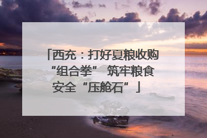 西充：打好夏粮收购“组合拳” 筑牢粮食安全“压舱石”