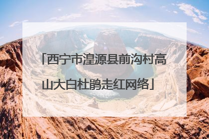 西宁市湟源县前沟村高山大白杜鹃走红网络