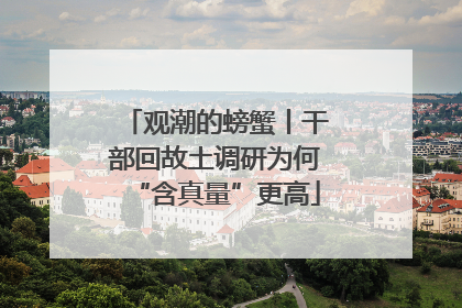 观潮的螃蟹丨干部回故土调研为何“含真量”更高