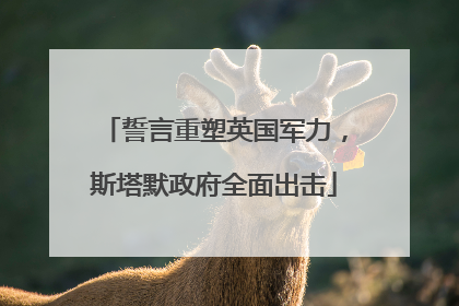 誓言重塑英国军力，斯塔默政府全面出击