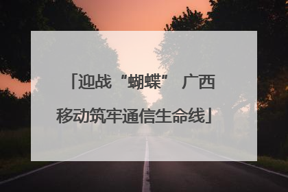 迎战“蝴蝶” 广西移动筑牢通信生命线