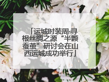 运城时装周·寻根丝绸之源“半颗蚕茧”研讨会在山西运城成功举行