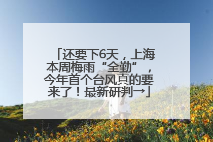 还要下6天，上海本周梅雨“全勤”，今年首个台风真的要来了！最新研判→