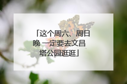 这个周六、周日晚 一定要去文昌塔公园逛逛