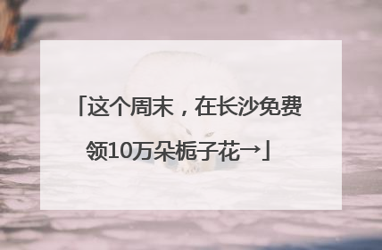 这个周末，在长沙免费领10万朵栀子花→