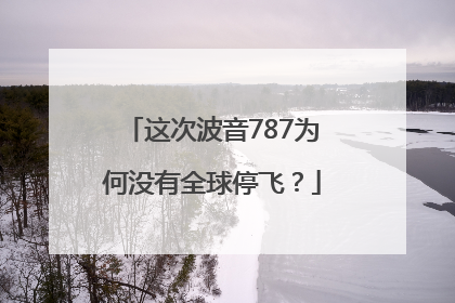 这次波音787为何没有全球停飞？
