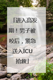 进入高发期！男子被咬后，紧急送入ICU抢救