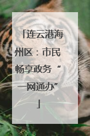 连云港海州区：市民畅享政务“一网通办”