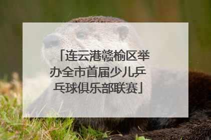 连云港赣榆区举办全市首届少儿乒乓球俱乐部联赛