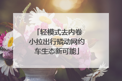 轻模式去内卷 小拉出行撬动网约车生态新可能