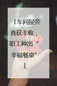 车间屋旁喜获丰收，职工种出“幸福餐桌”