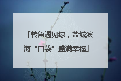 转角遇见绿，盐城滨海“口袋”盛满幸福