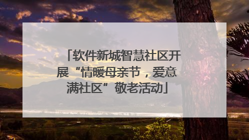 软件新城智慧社区开展“情暖母亲节，爱意满社区”敬老活动