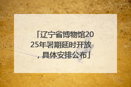 辽宁省博物馆2025年暑期延时开放，具体安排公布