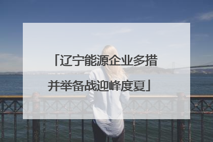 辽宁能源企业多措并举备战迎峰度夏
