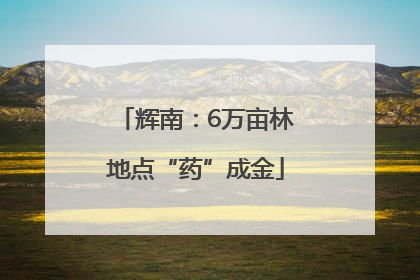 辉南：6万亩林地点“药”成金