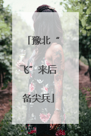 豫北“飞”来后备尖兵