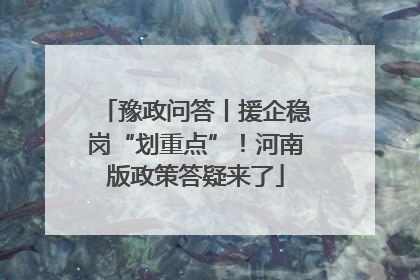 豫政问答丨援企稳岗“划重点”！河南版政策答疑来了