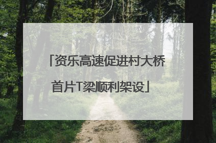 资乐高速促进村大桥首片T梁顺利架设