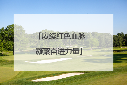 赓续红色血脉 凝聚奋进力量
